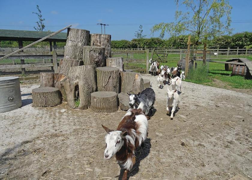 Hotel Barmston Farm Kingston upon Hull Zewnętrze zdjęcie