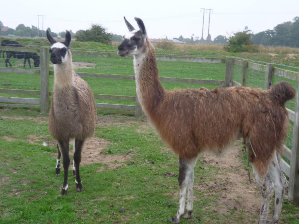Hotel Barmston Farm Kingston upon Hull Zewnętrze zdjęcie